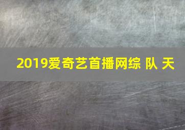 2019爱奇艺首播网综 队 天